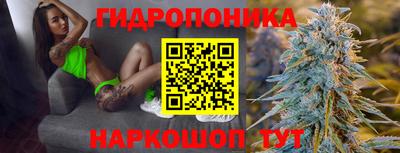 прущие грибы Кунгур