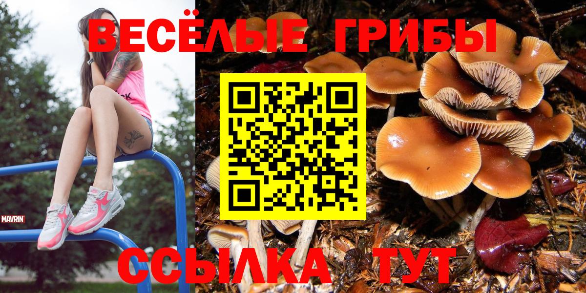Тихвин  Галлюциногенные грибы ЛСД  Вход с VPN 