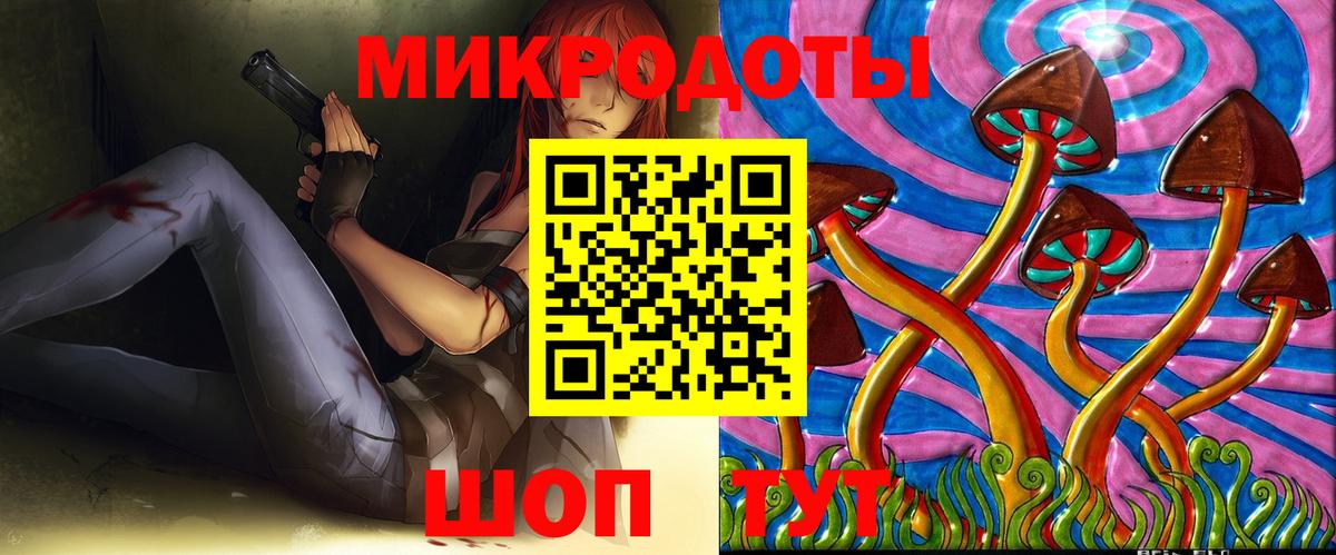 Псилоцибиновые грибы Psilocybe Тихвин